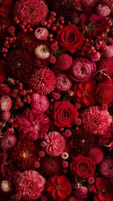 PRM1 RED PROM  from Fabbrini's Flowers in Hoffman Estates, IL